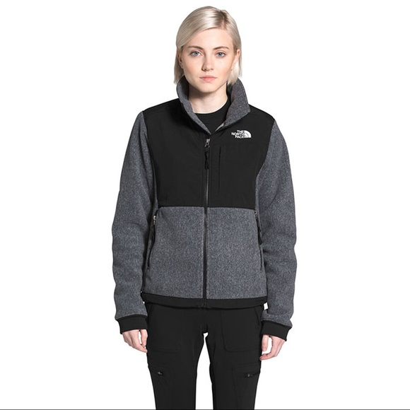 polartec 300 north face